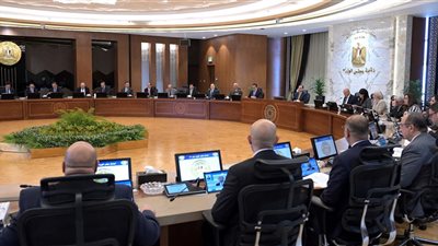 رئيس الوزراء يشيد بمخرجات القمة العربية ويثمن خطة إعادة إعمار غزة (فيديو)