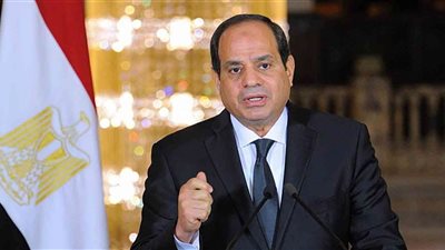 الرئيس السيسي عن يوم الشهيد: نرى نتائج التضحيات واضحة في ربوع مصر (فيديو)