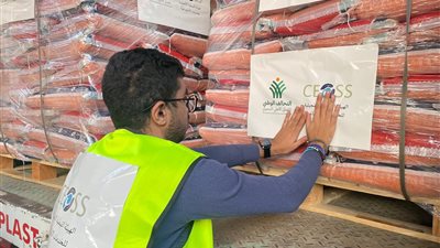 عضو التحالف الوطني: ندعم الأسر الأولى بالرعاية في مصر وغزة خلال رمضان (فيديو)