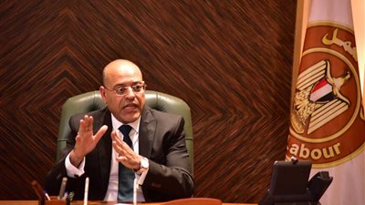 بعد غياب 12 عاماً.. مصر نجحت في رئاسة منظمة العمل العربية (فيديو)