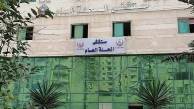 اقتحام مستشفى المحلة العام وإصابة فرد أمن.. والشرطة تلقي القبض على المتهم