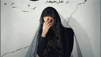 موعد عرض الحلقة العاشرة من مسلسل الأميرة ظل حيطة لـ ياسمين صبري