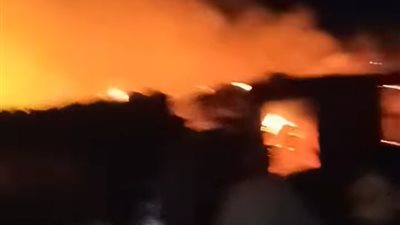 نفوق 6000 طائر ..  فى حريق مروع بمزرعة دواجن بالغربية 