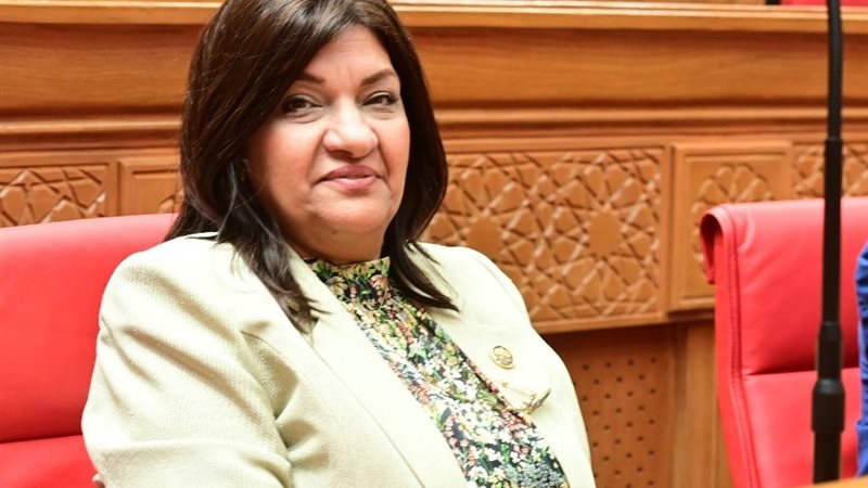 النائبة ايفلين متى