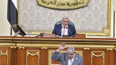 مجلس النواب يقر نسبة مكافأة العاملين بعد سن الـ 60 