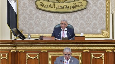 بعد الانتهاء من 261 مادة.. النواب يرفع الجلسة العامة ويعود للانعقاد 23 مارس