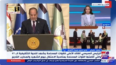 جميل عفيفي: دماء الشهداء السبب في تحقيق الاستقرار والبناء والتنمية (فيديو)