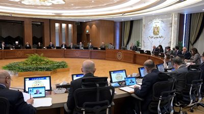 مدبولي: مصر تبذل جهوداً دبلوماسية مكثفة لدعم غزة.. وتواصل تطوير قطاع السياحة