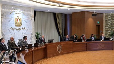 مدبولي: افتتاح عالمي للمتحف المصري.. وإطلاق مشروعات سكنية غير مسبوقة (فيديو)