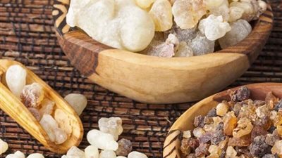 مضاد حيوي ويحمي من أمراض القلب.. اعرفي فوائد 