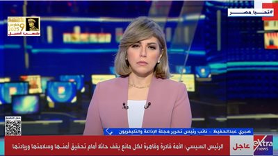 محلل سياسي: مصر تحمل على كتفيها القضية الفلسطينية .. والأوطان لا تبنى إلا بسواعد أبنائها المخلصين (فيديو)