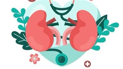 في اليوم العالمي للكلى 2025: الإجهاد يمكن أن يدمر كليتك.. هذه النصائح لحمايتها