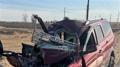 مصرع كهربائى فى حادث تصادم سيارة ودراجة نارية بمنيا القمح بالشرقية