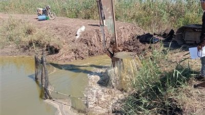 إزالة 5 مزارع سمكية مخالفة على مساحة 25 فدانًا جنوب بورسعيد