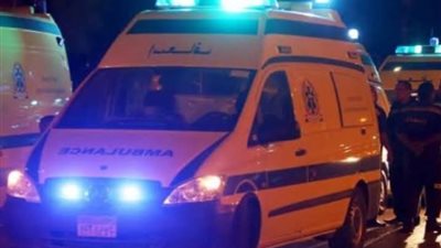 بالأسماء.. إصابة 7 عمال زراعيين في اصطدام سيارتين على الطريق صحراوي بالبحيرة