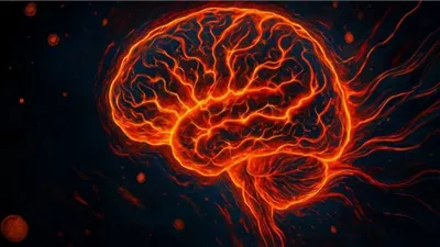 اكتشاف جديد يربط بين اضطراب فرط الحركة وخلل الغدد الليمفاوية لدى البالغين