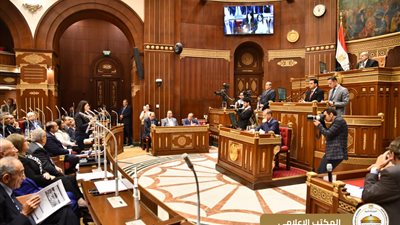عاجل | ننشر تفاصيل مشروع تعديل قانون مجلس الشيوخ.. مستند