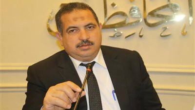 خالد الشافعي: الاقتصاد المصري يسير نحو الاستقرار والتنوع