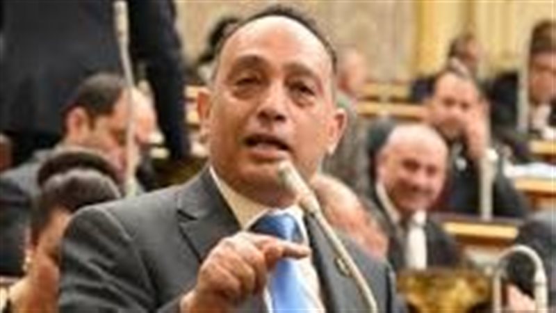 النائب فريدي البياضي