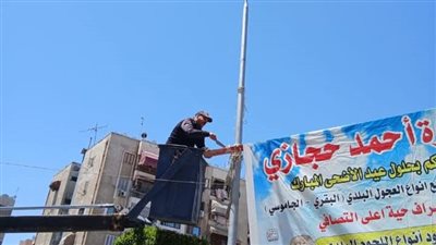 حملات مكثفة لإزالة الإعلانات المخالفة بأعمدة الإنارة العامة ببورفؤاد