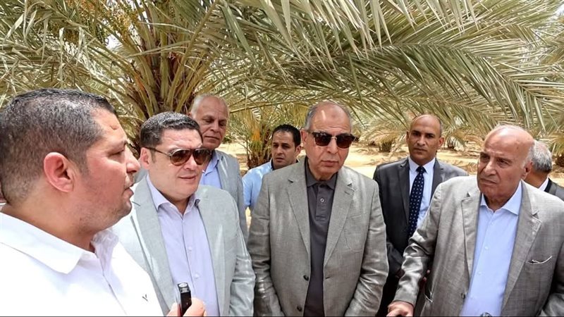 محافظ المنيا