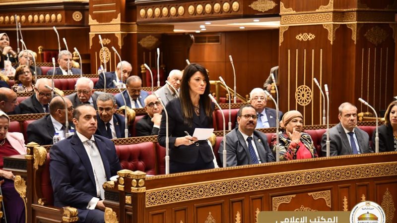 الدكتورة رانيا المشاط