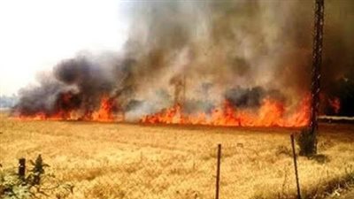 السيطرة على حريق التهم 10 قراريط قمح في دير مواس بالمنيا