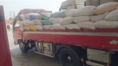 منذ بدء الموسم.. توريد 534 ألف طن قمح للمواقع التخزينية بالشرقية