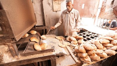 ضبط مخبز ينتج خبزا ناقص الوزن في أسيوط.. وقرار عاجل من المحافظ