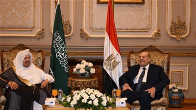 رئيس مجلس الشيوخ يؤكد لنظيره السعودي الحرص على دعم أواصر التعاون البرلماني 