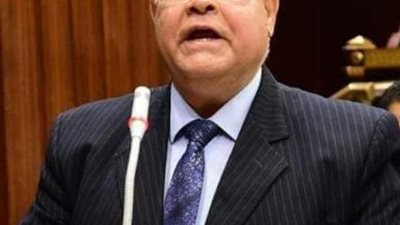 الشهابي: القاهرة ثابتة على مبادئها وترفض تصفية القضية الفلسطينية