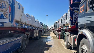 إعلام إسرائيلي: إدخال 30 شاحنة مساعدات يوميا إلى غزة خلال هذا الأسبوع