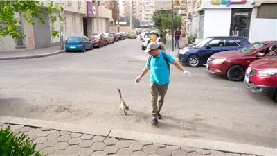 جابر القرموطي يكشف أسرار حبه لـ القطط والكلاب: 