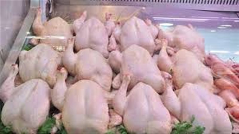 انخفاض اسعار الدواجن
