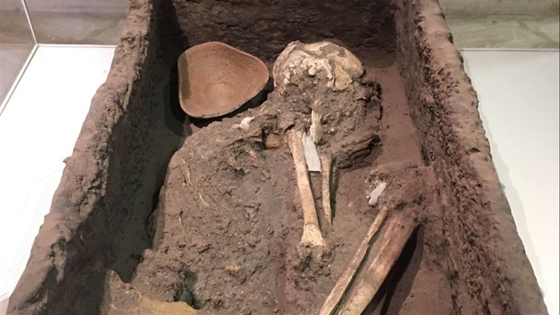 تابوت من عصور ما