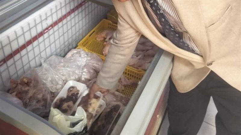 حملات تفتيشية بالمنيا