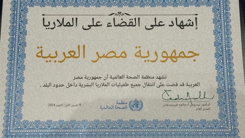 وزير الصحة خالد عبدالغفار