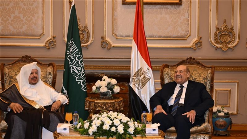 رئيس مجلس الشيوخ
