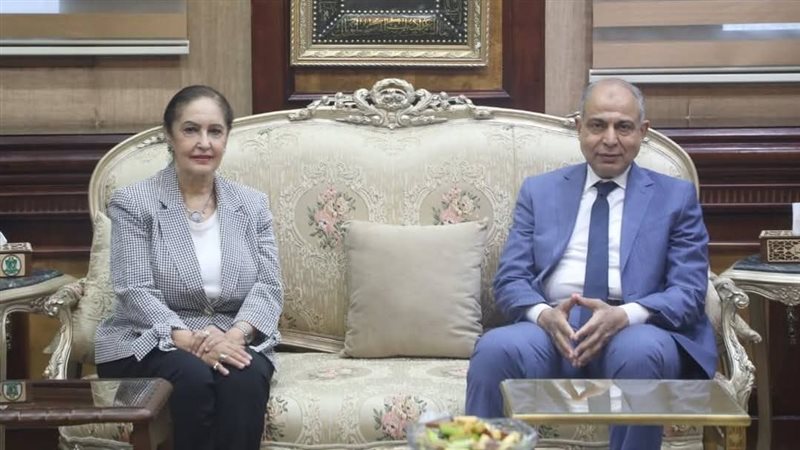 محافظ المنيا