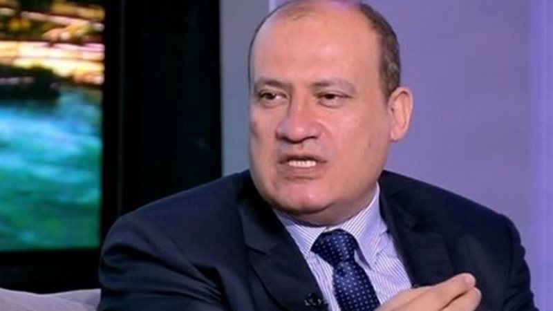حسن هيكل