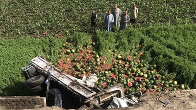 انقلاب سيارة بطيخ يستبب في توقف الطريق الإقليمي بالمنوفية