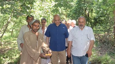 الثمرة الذهبية تلألأ.. محافظ القليوبية يتفقد مزارع المشمش بقرية العمار