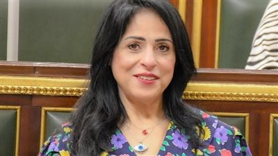 ميرال الهريدي: مصر تحركت من منطلق إنساني وأخلاقي لإنهاء معاناة غزة