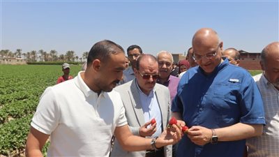 من طوخ لموائِد العالم.. محافظ القليوبية يتفقد حصاد الفراولة بقرية ميت كنانة