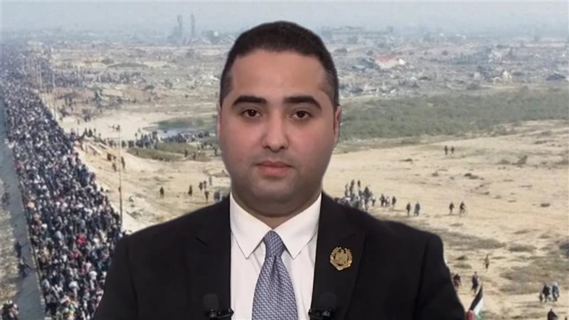 الدكتور محمد محمود