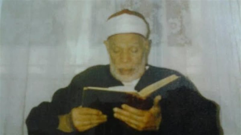 الشيخ عامر السيد