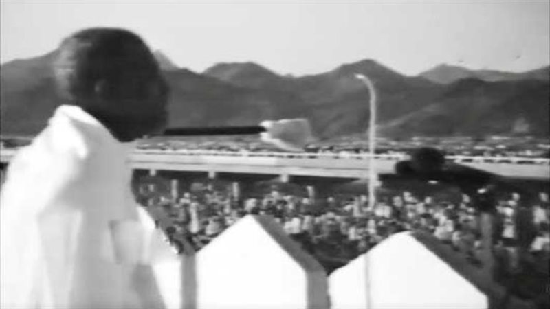 الشيخ الشعراوي