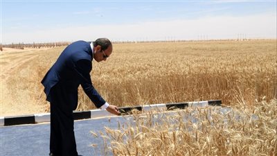 أحمد موسى: السيسي يشهد غدًا موسم حصاد القمح ويتفقد مدينة مستقبل مصر الصناعية