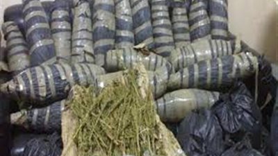 ضربة موجعة لتجار الكيف.. الداخلية تضبط كميات كبيرة من المخدرات بحوزة 398 متهما