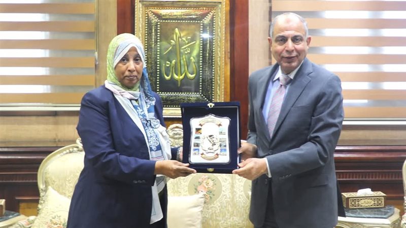 محافظ المنيا